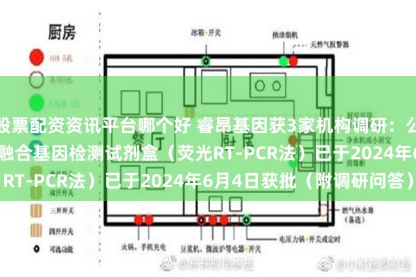 股票配资资讯平台哪个好 睿昂基因获3家机构调研：公司的BCR-ABLP210融合基因检测试剂盒（荧光RT-PCR法）已于2024年6月4日获批（附调研问答）