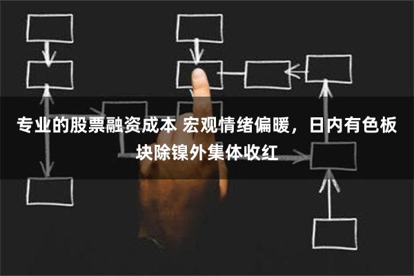 专业的股票融资成本 宏观情绪偏暖，日内有色板块除镍外集体收红