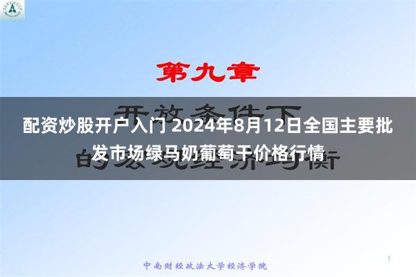 配资炒股开户入门 2024年8月12日全国主要批发市场绿马奶葡萄干价格行情