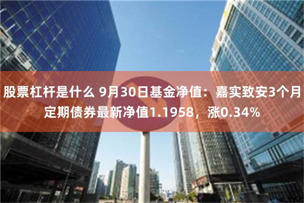 股票杠杆是什么 9月30日基金净值：嘉实致安3个月定期债券最新净值1.1958，涨0.34%