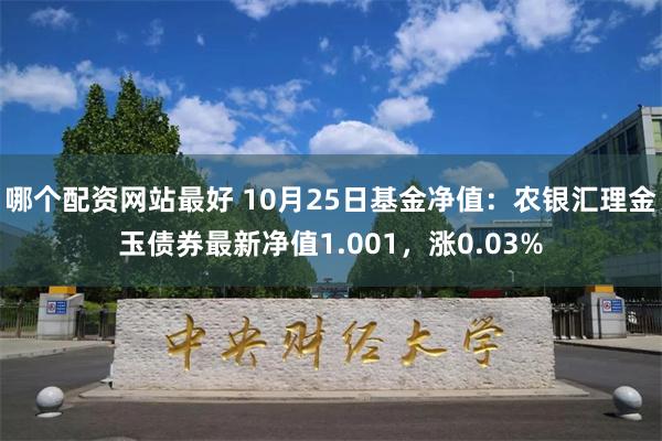 哪个配资网站最好 10月25日基金净值：农银汇理金玉债券最新净值1.001，涨0.03%