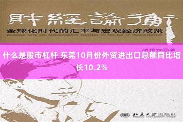 什么是股市杠杆 东莞10月份外贸进出口总额同比增长10.2%