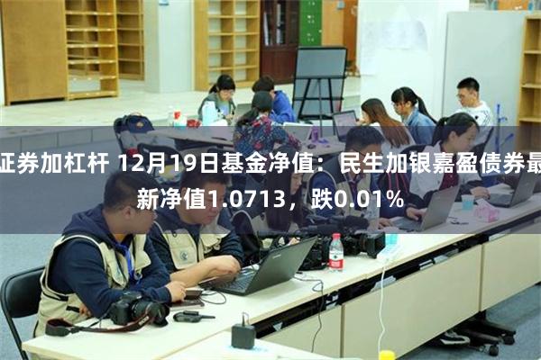 证券加杠杆 12月19日基金净值：民生加银嘉盈债券最新净值1.0713，跌0.01%