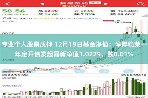 专业个人股票质押 12月19日基金净值：淳厚稳荣一年定开债发起最新净值1.0229，跌0.01%