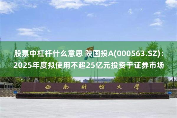 股票中杠杆什么意思 陕国投A(000563.SZ)：2025年度拟使用不超25亿元投资于证券市场